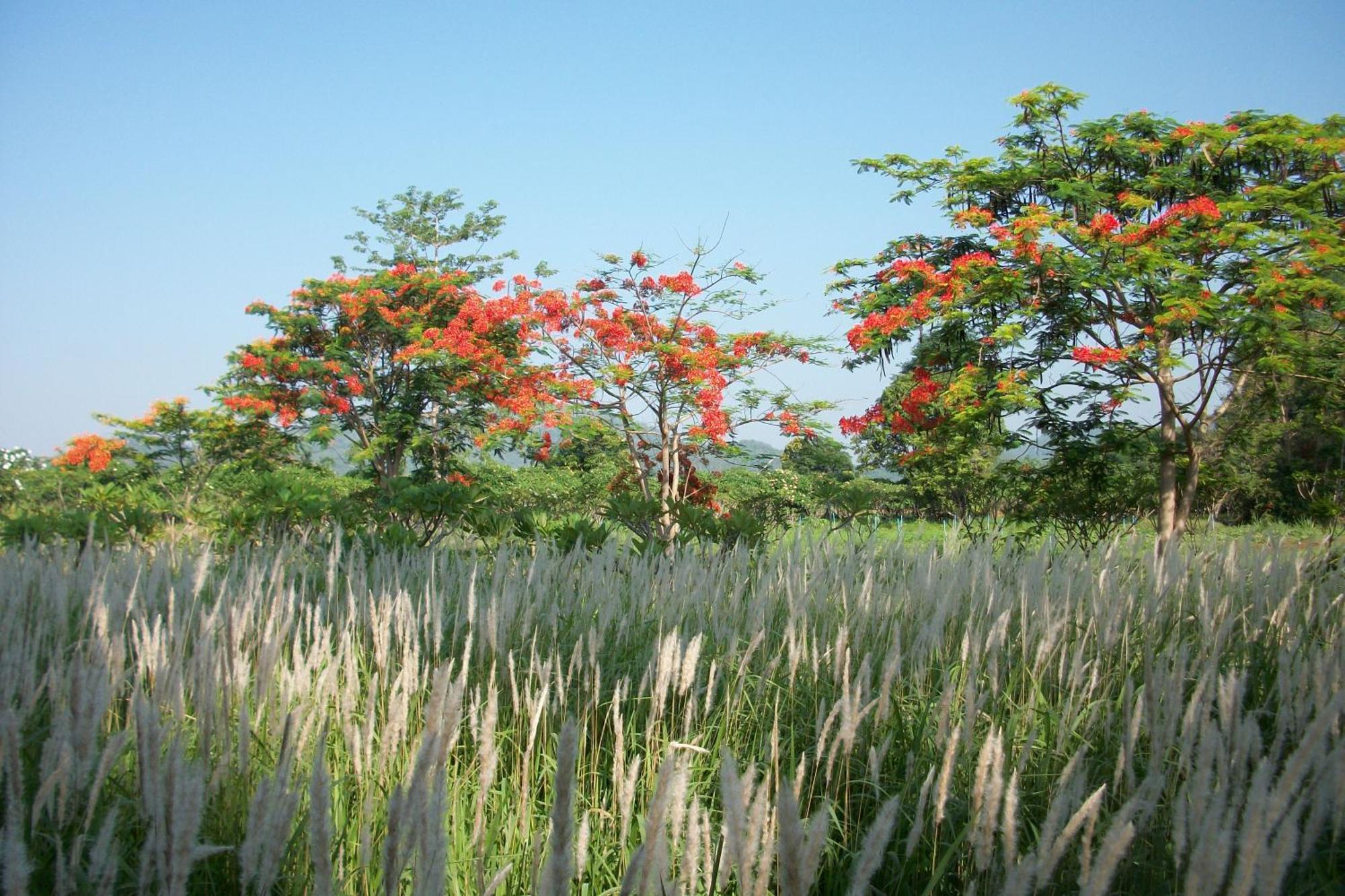 Lilawalai Resort Nong Nam Daeng Buitenkant foto
