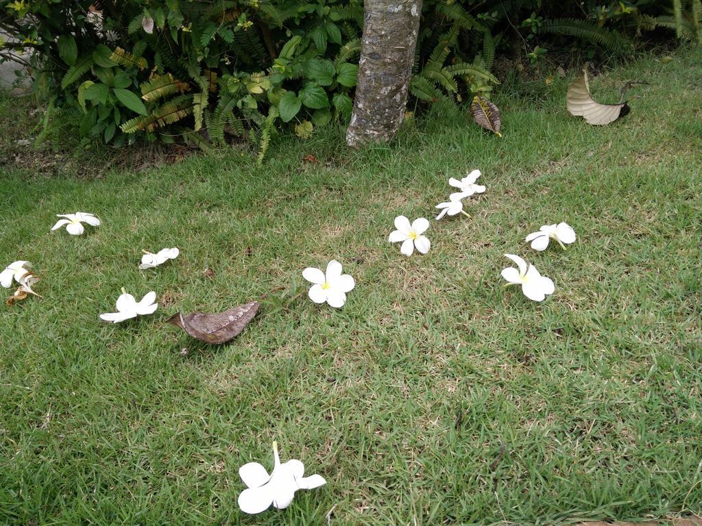 Lilawalai Resort Nong Nam Daeng Buitenkant foto